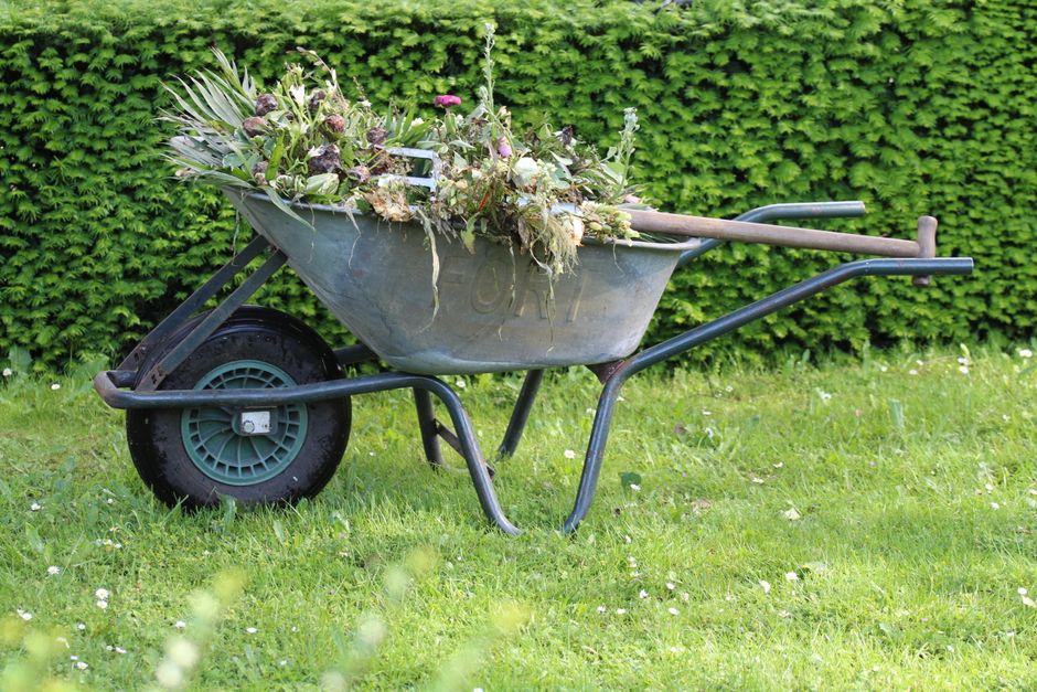 garden sanctuary — How to Turn a Plain Lawn Into a Garden Sanctuary: A DIY Weekend-by-Weekend Guide